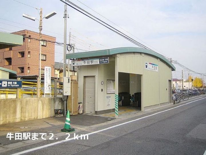 柊(ひいらぎ)の周辺