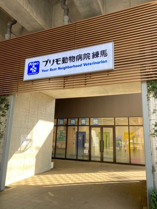 東京都練馬区石神井町3(マンション)の賃貸物件の周辺