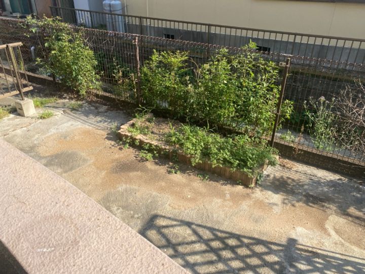 エクセランス高橋の内装