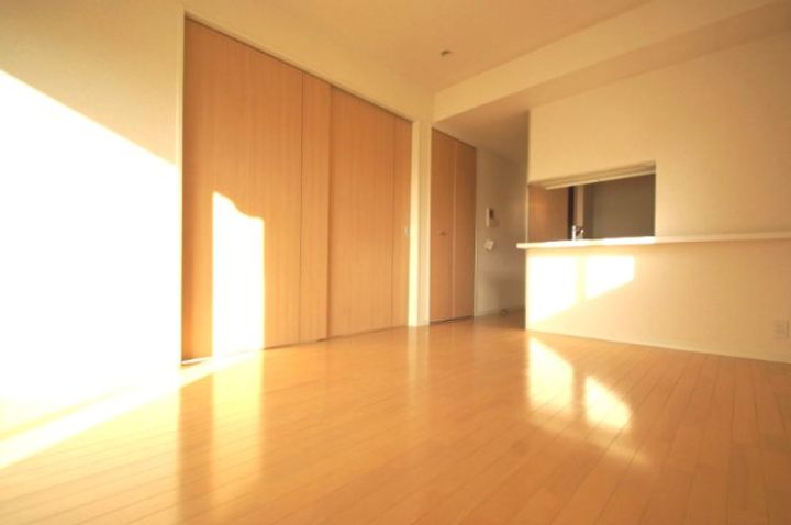 東京都大田区蒲田5(マンション)の賃貸物件の居間