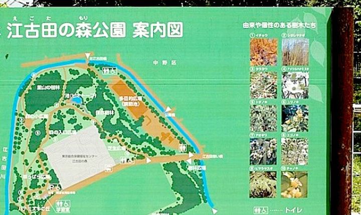 東京都中野区江古田2(マンション)の賃貸物件の周辺