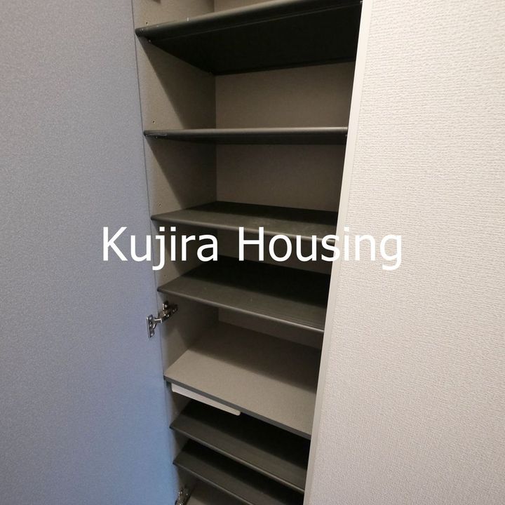 パウロニアの玄関