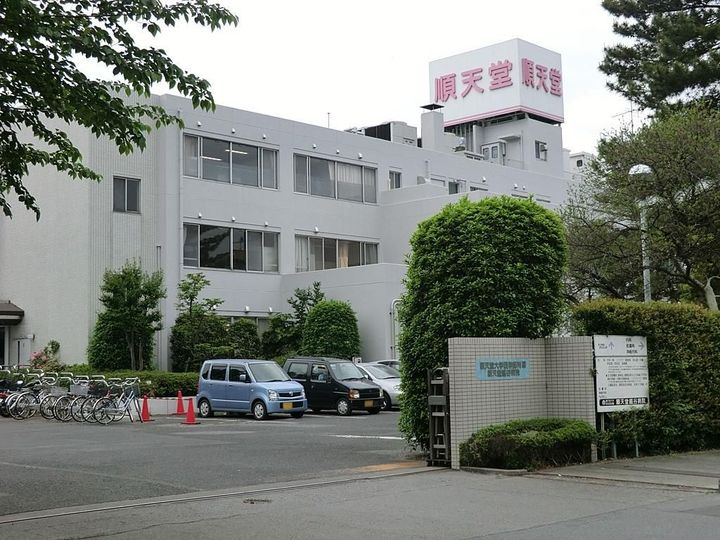 パウロニアの周辺