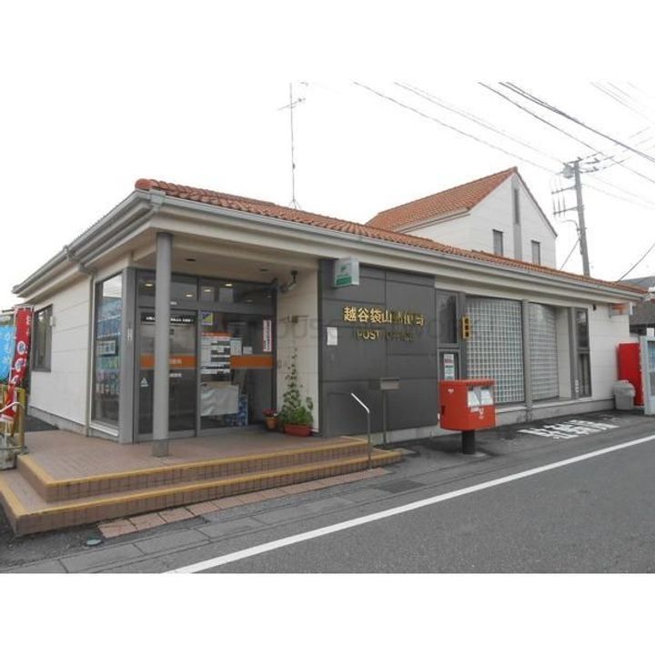パウロニアの周辺