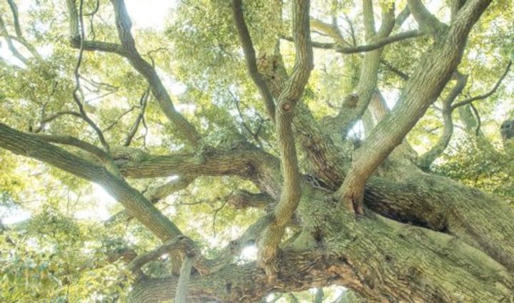 東京都板橋区若木2(マンション)の賃貸物件の周辺