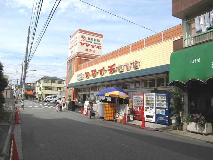 東京都江戸川区鹿骨5(アパート)の賃貸物件の周辺
