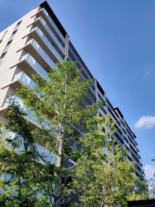東京都北区志茂4(マンション)の賃貸物件の外観