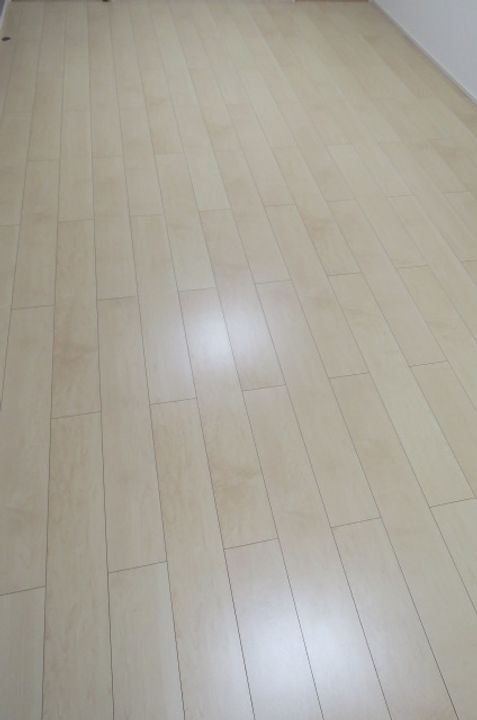 フジパレスK1番館の内装