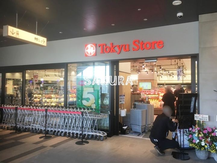 クリエート綱島の周辺