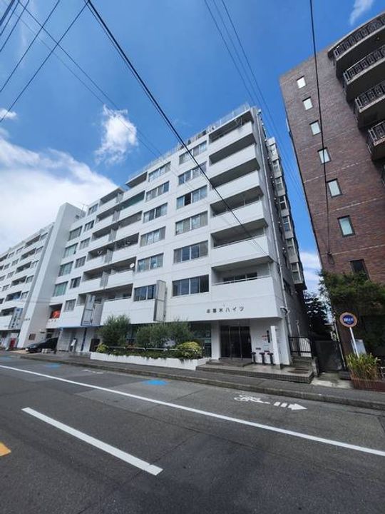 本厚木ハイツ【0】の外観