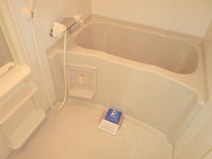 広島県広島市中区大手町2(マンション)の賃貸物件の風呂