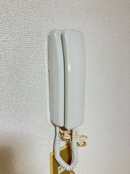 グリーンハイム A棟の内装