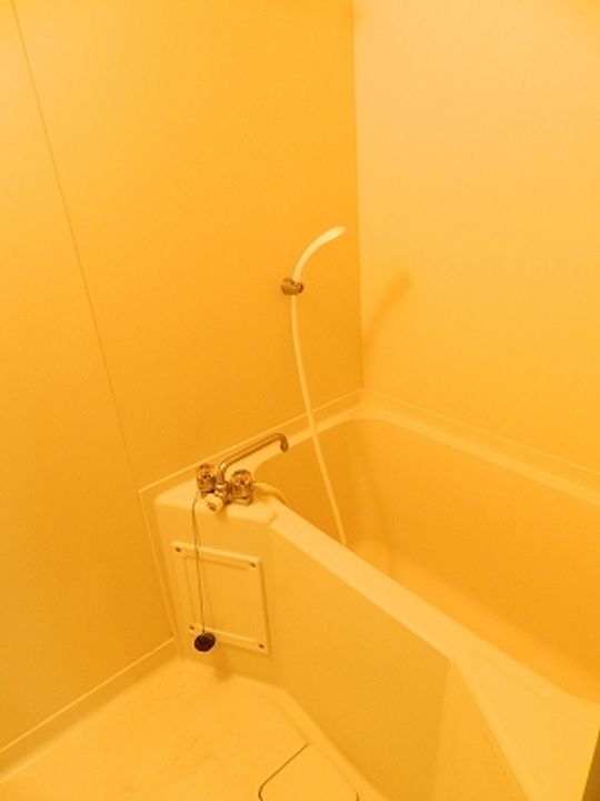 KKレジデンスIIの風呂