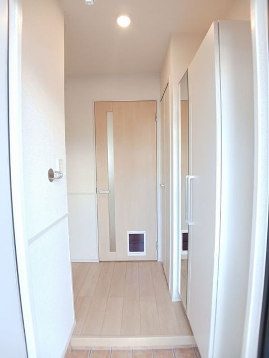 滋賀県湖南市岩根(アパート)の賃貸物件の玄関