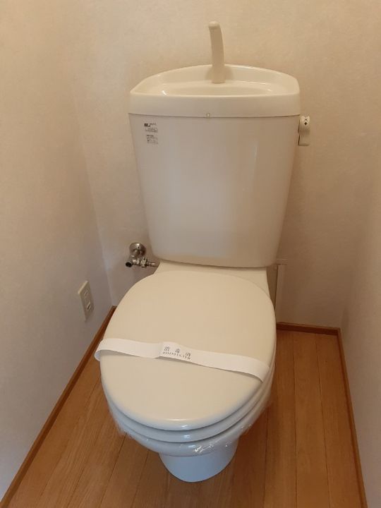 静岡県浜松市中央区上島1(アパート)の賃貸物件の内装