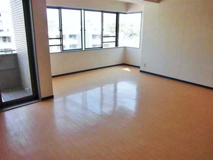 PALACIO BELA VISTAの居間