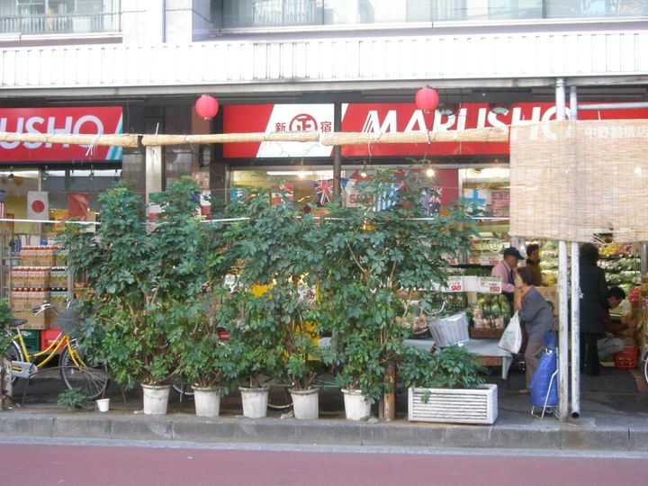 東京都中野区本町3(マンション)の賃貸物件の周辺