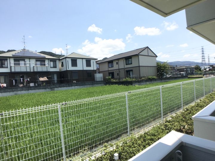 El Ambar(エル アンバル)のその他画像