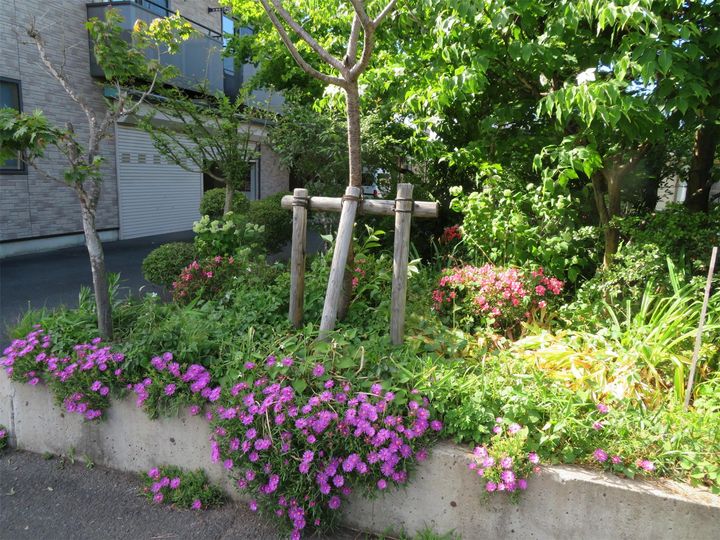 桜ハイツの内装