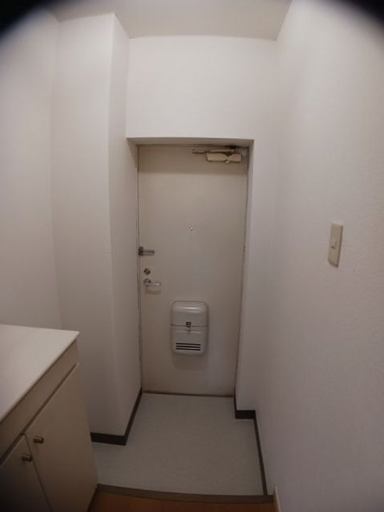 群馬県高崎市矢中町(アパート)の賃貸物件の玄関