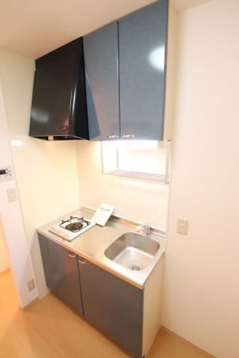 ヴェルドミールIのキッチン