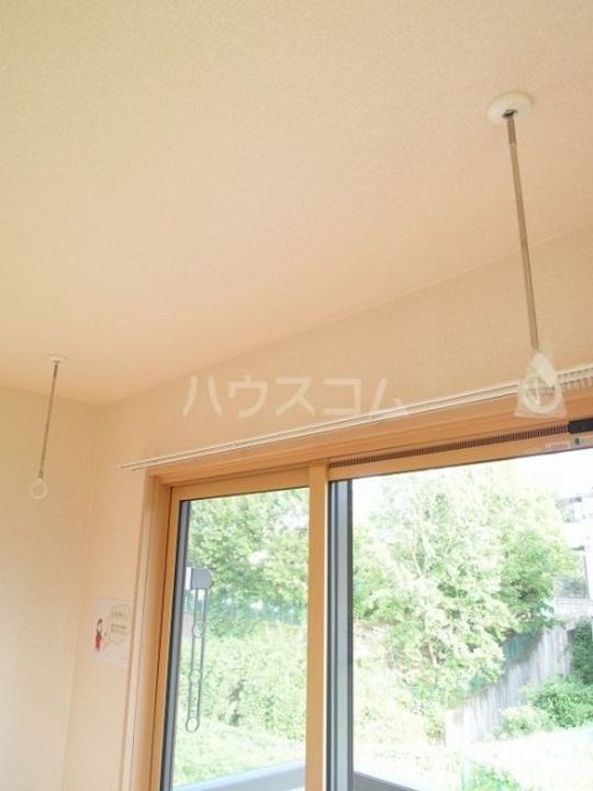 ヴェルデのその他画像