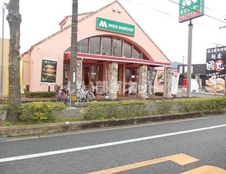パパドポーラスターの周辺