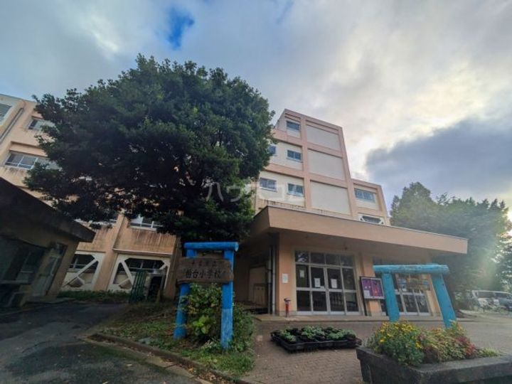 サンハイム1号の周辺