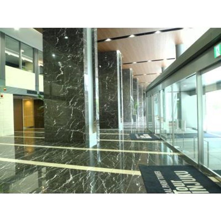 タワーマンション ペット可 高層階 設備充実 アクセス良好の地図