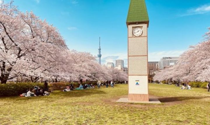 東京都墨田区江東橋4(マンション)の賃貸物件の周辺