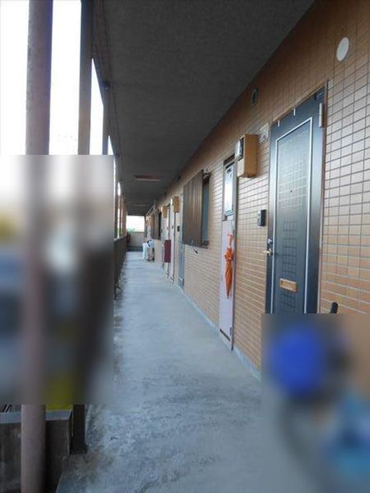 プリムローズのその他画像