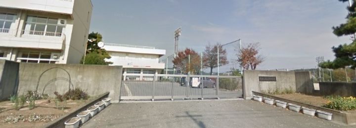 プリムローズの周辺