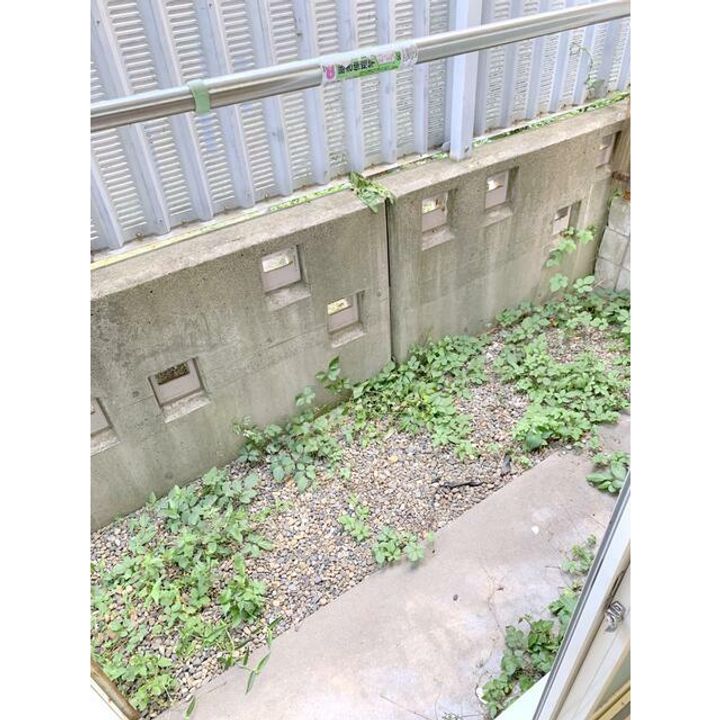 東京都北区中里3(アパート)の賃貸物件の内装
