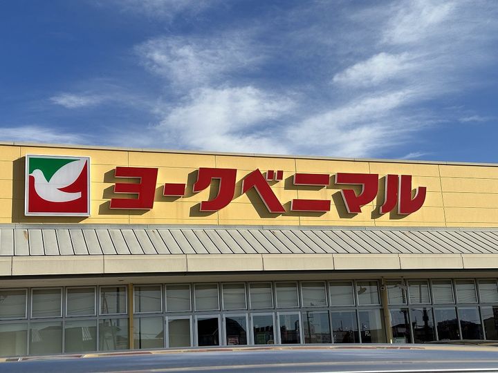 レオパレスパレスマンションIの周辺