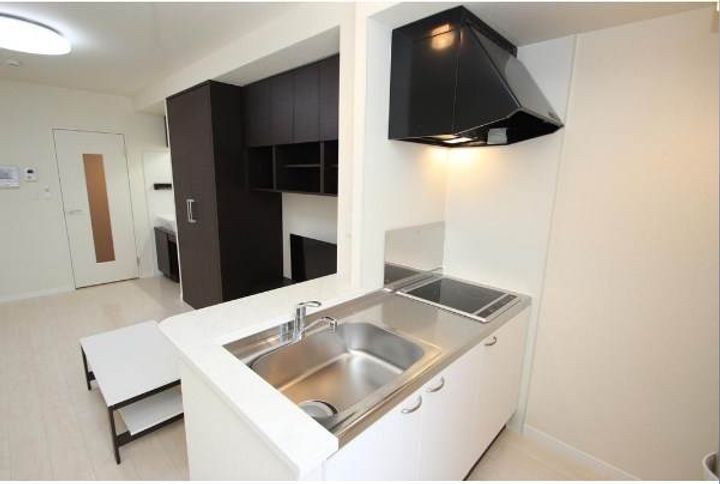 レオネクストMA MAISONのキッチン