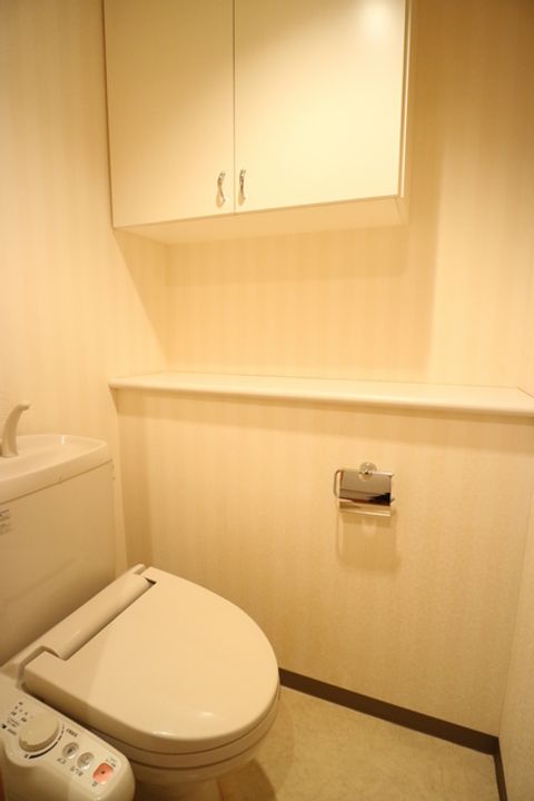 岡山県倉敷市昭和2の賃貸マンションの内装