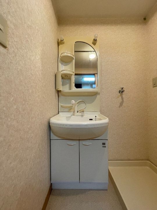 岡山県倉敷市二子(マンション)の賃貸物件の内装