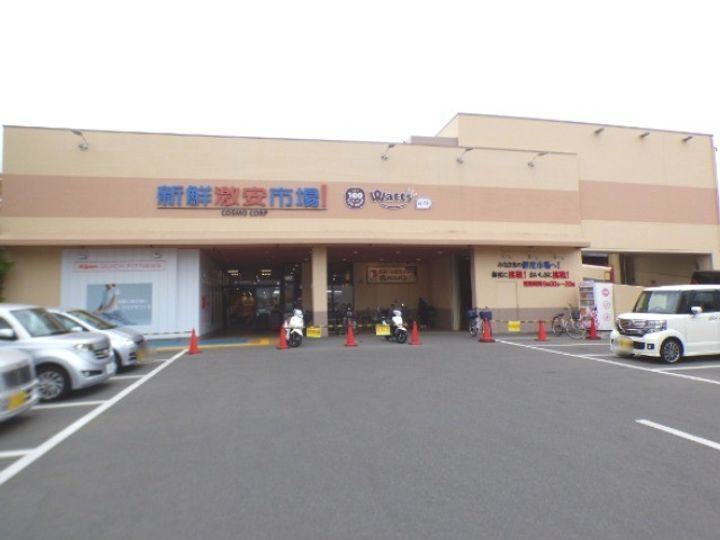京都府京都市伏見区聚楽町(一戸建)の賃貸物件の周辺