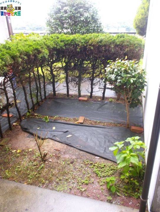 長崎県長崎市城栄町(アパート)の賃貸物件の内装