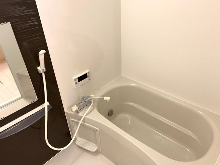 埼玉県越谷市レイクタウン9(アパート)の賃貸物件の風呂