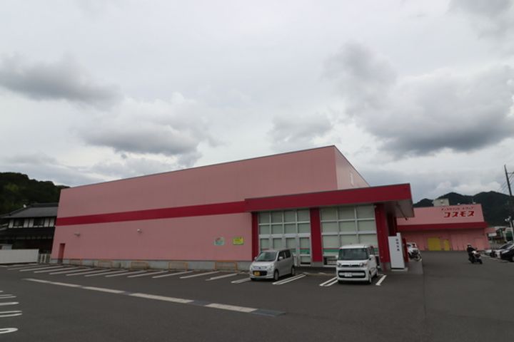 レオパレスレーブシャトーIIの周辺