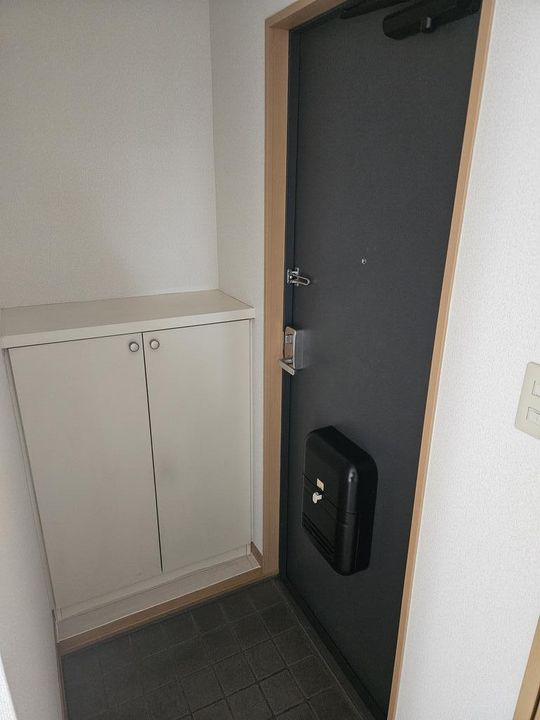 ミナミハイツ3番館の玄関