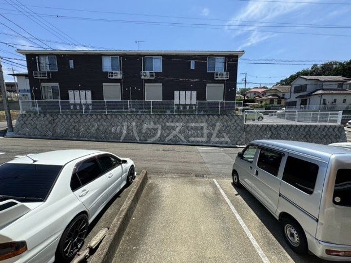 ブルースターのその他画像