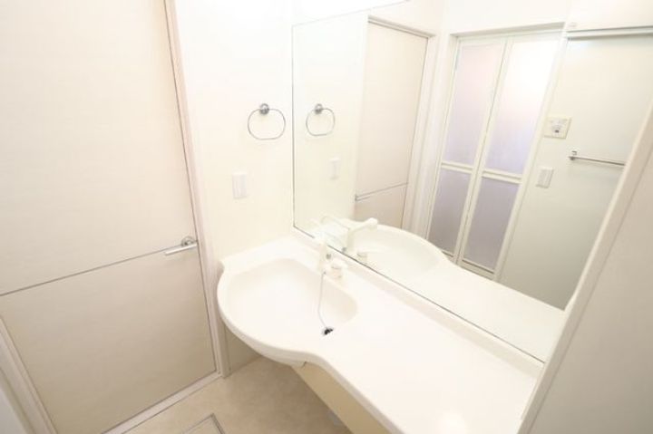 栃木県栃木市大平町富田(アパート)の賃貸物件の内装