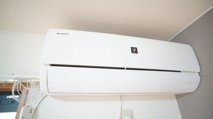 グレートピレニーズの内装