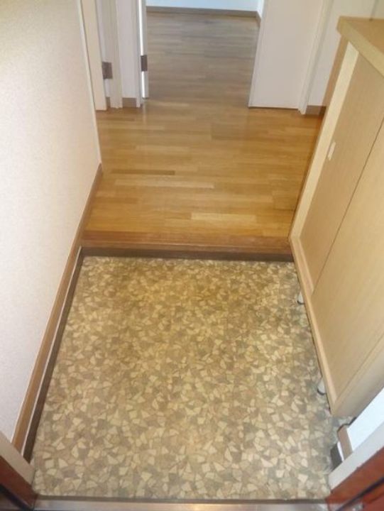 パーセル武創Iの玄関