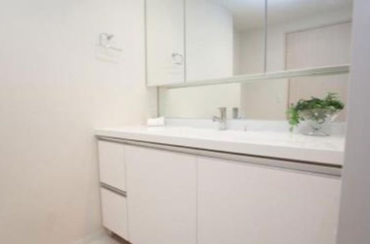 東京都中央区勝どき6(マンション)の賃貸物件の内装