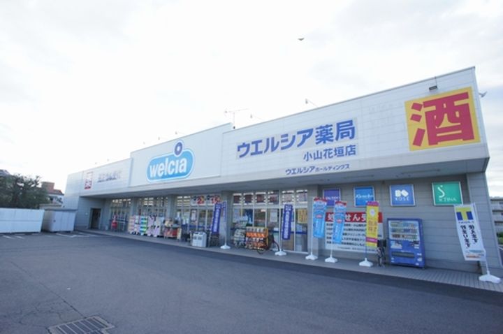 ブライトン5の周辺