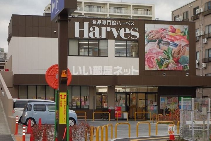 大阪府八尾市東山本新町6(一戸建)の賃貸物件の周辺