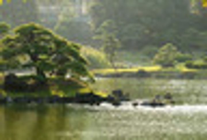 Totsu Residence Shibaの周辺